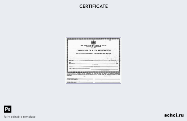 скачать в цифровом формате шаблон свидетельства о рождении Нью Йоркского офиса с